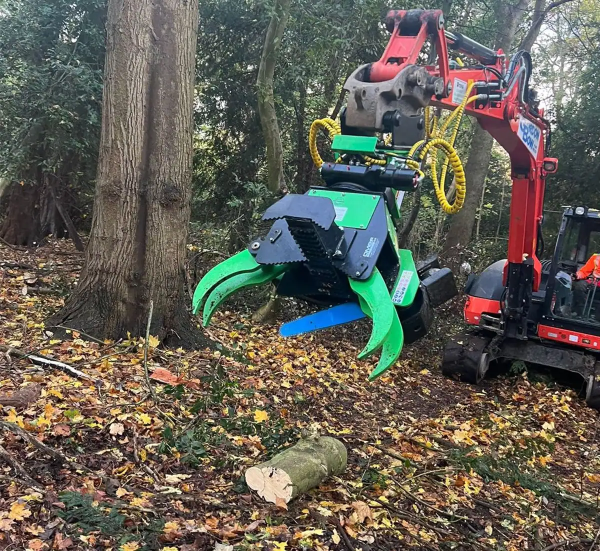 OMEF GS400 grapple saw on a compact Kubota excavator, jaws open beside a standing trunk in autumn woodland with a cut log on the ground
