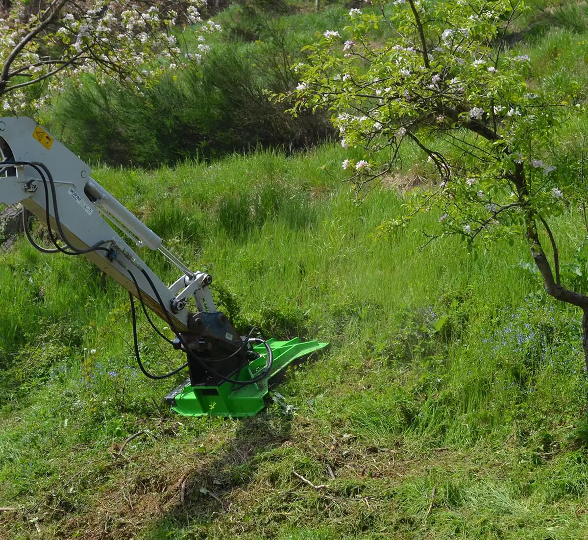 Excavator-mounted OMEF MOW mower cutting long grass on a sloped orchard bank beneath flowering fruit trees